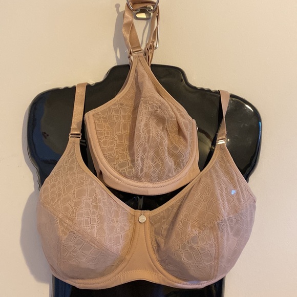 Parfait Other - ⭐️ Parfait 34DDD 34F mesh lace underwire nude sheer charm 2/$48